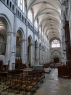 Rhone 242